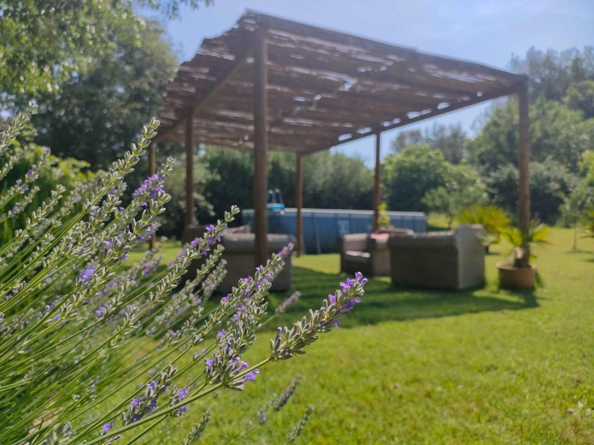 El Celler - Can Bonet San Martí Vell Dış mekan fotoğraf
